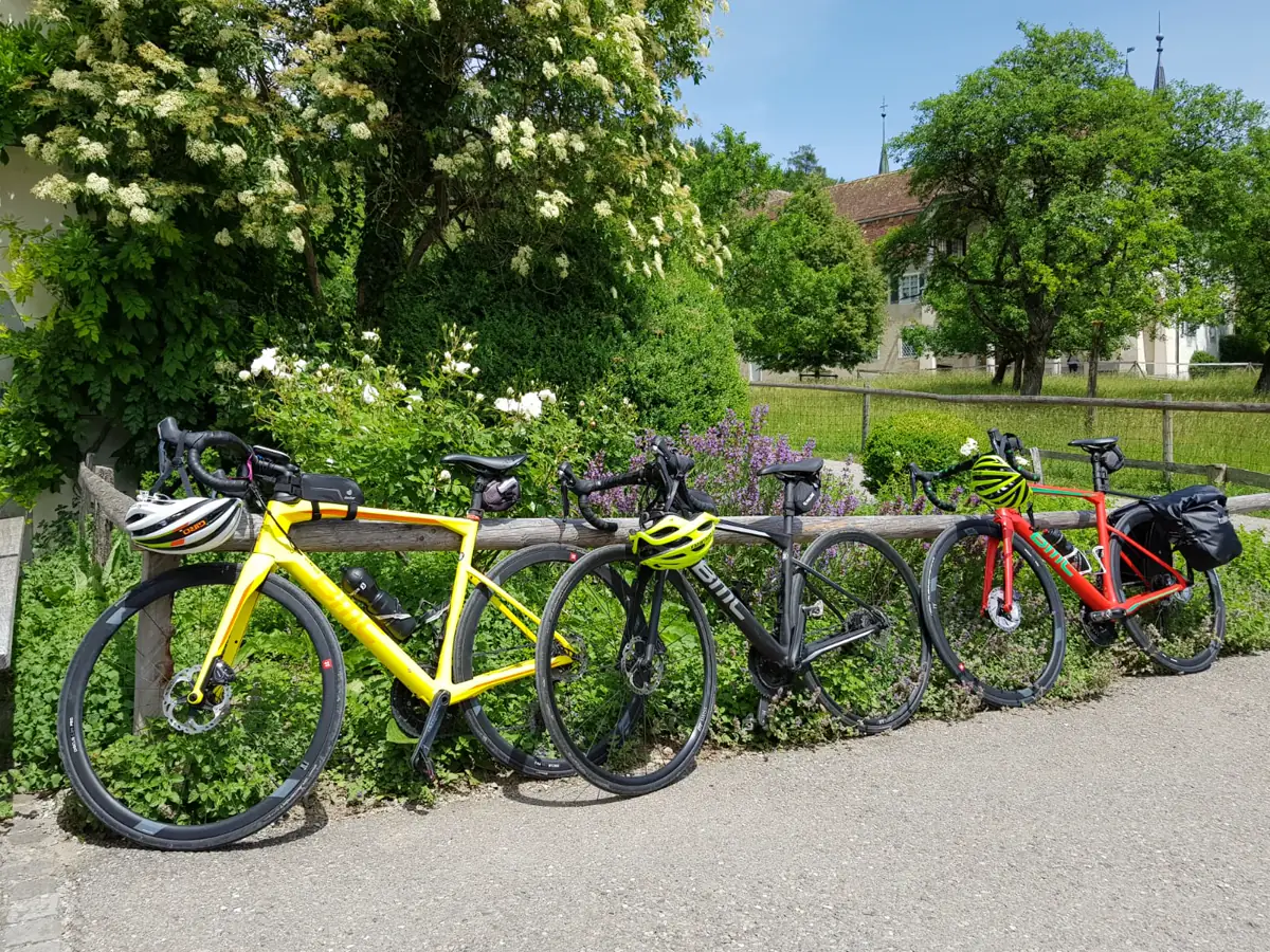 Rennräder an einer blühenden Hecke